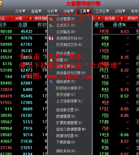 大智慧新一代公式源码导入教程方法